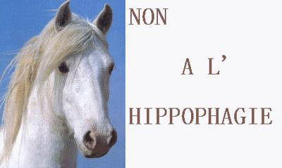 Non à l'hippophagie